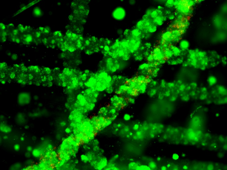 An abstract image of a micro-bioreactor