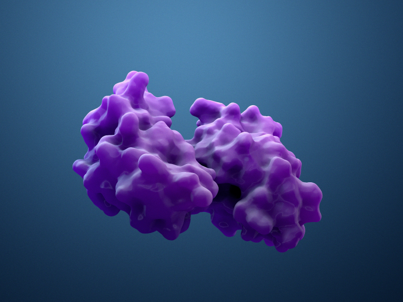 Illustration of a Protein
